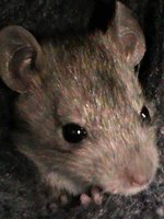 DSC00254.JPG