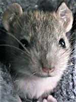 DSC00259.JPG