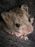 DSC00261.JPG