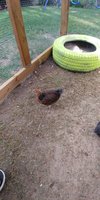 20180612_175430.jpg