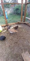 20180612_175411.jpg