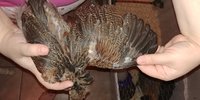 20180611_215127.jpg