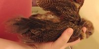 20180611_215111.jpg
