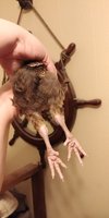 20180611_215006.jpg