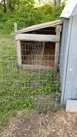 20180612_181318.jpg