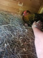 20180612_161550.jpg