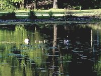 20180613_114100.jpg