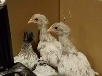 20180613_101021.jpg