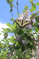 IMG_7044.jpg