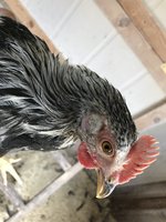 IMG_7814.JPG