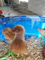 20180613_193104.jpg