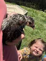 2FCF4731-F9BB-4376-837F-2B250449F4CB.jpeg