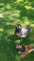 20180614_140232.jpg