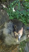 20180614_140257.jpg