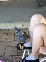 792B7452-05C8-4182-AA12-F62AC7D7C6D1.jpeg