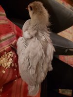 20180614_215503.jpg