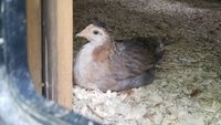 20180601_092519.jpg