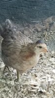20180601_093449.jpg