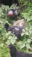 20180615_093418.jpg