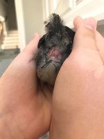 IMG-20180615-WA0002.jpg