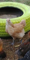 20180615_152855.jpg