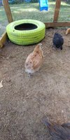 20180615_151913.jpg