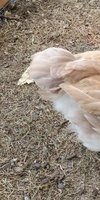 20180615_153004.jpg
