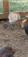 20180615_152833.jpg
