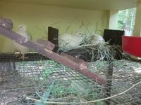 20180615_163657.jpg