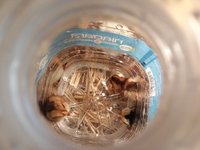 20180615_134358.jpg