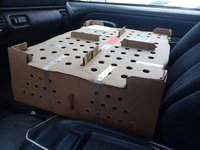 20180615_130341.jpg