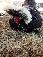 20180125_135321.jpg