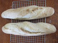 Wild Yeast sourdough bread.jpg