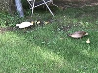 6805B044-7D35-4645-B86F-0A4CAF65F6BD.jpeg