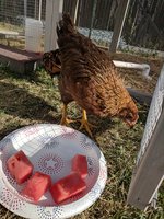 IMG_20180614_181229.jpg
