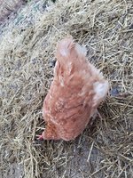 20180216_090017.jpg