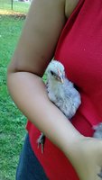 20180615_192015.jpg