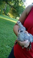 20180615_192007.jpg