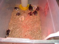 DSC00001.JPG