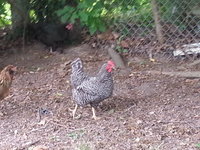 20180607_163030.jpg