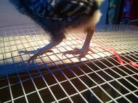 IMG_20180616_195651813.jpg