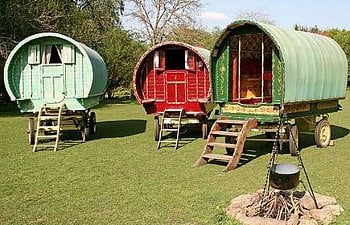 Chicken Coop Gypsy Caravan