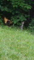 20180530_193057.jpg