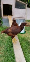 20180615_180801.jpg