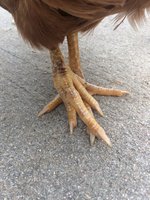 image.jpg