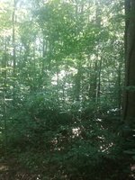 20180617_105457.jpg