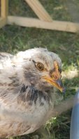 20180617_134936.jpg