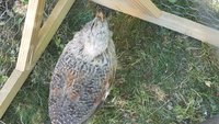 20180617_134918.jpg