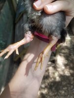 20180616_155900.jpg
