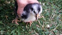 20180617_203513.jpg